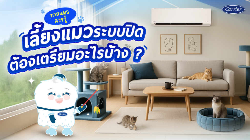 ทาสแมวต้องรู้! เลี้ยงแมวระบบปิดต้องเตรียมอะไรบ้าง?_Carrier