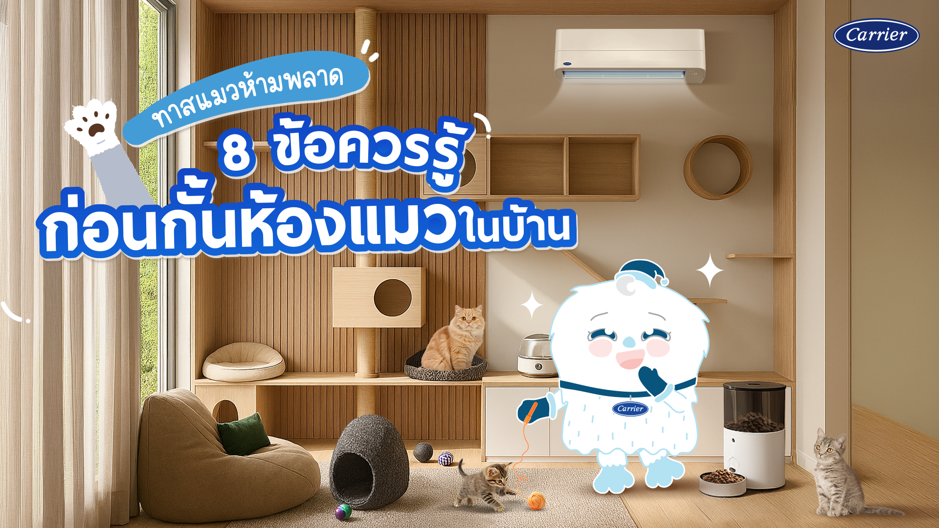 เตรียมพร้อมก่อนทำห้องแมว 8 ทริกต้องรู้ในการกั้นห้องแมวในบ้าน