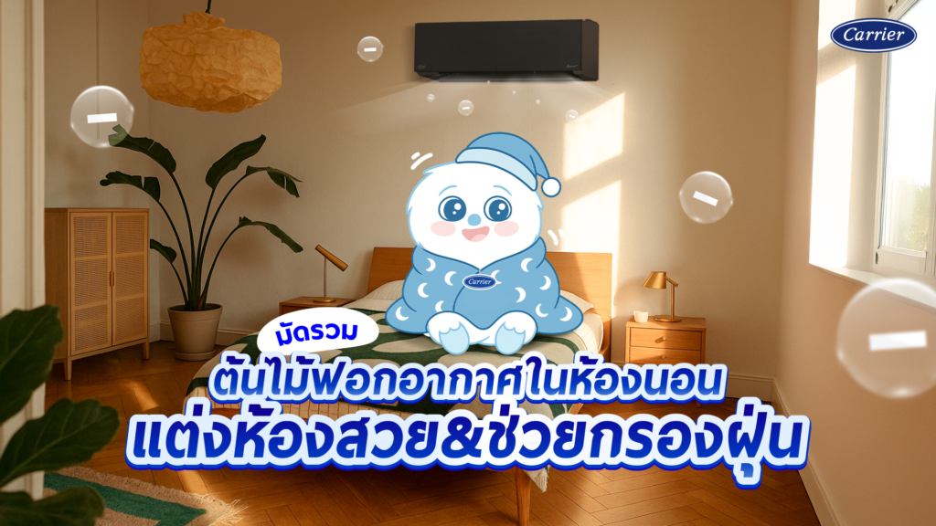 10 ต้นไม้ฟอกอากาศ ต้นไม้ฟอกอากาศในห้องนอน ช่วยลด PM2.5 ดูดมลพิษ