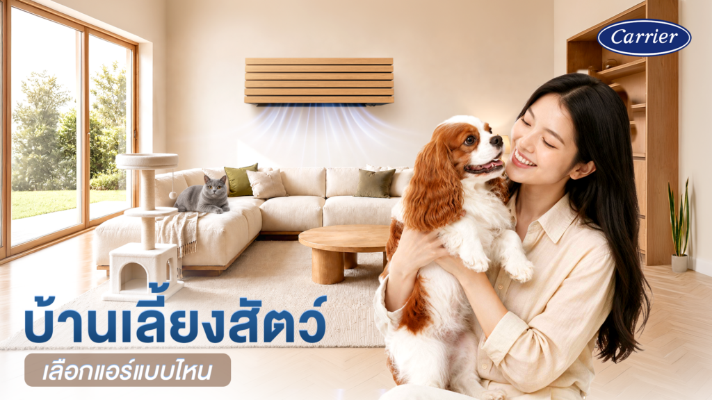 บ้านที่มีสัตว์เลี้ยงควรเลือกแอร์ที่ตอบโจทย์
